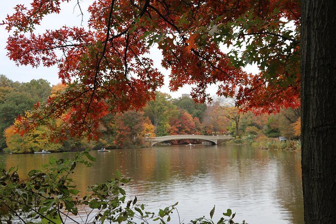 Romantic/Proposal Central Park Carriage Tour (Up to 4 Adults) - The Value Proposition