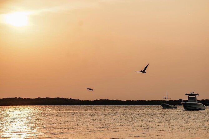 Romantic sunset tour in Río Lagartos, with food - Practical Details and Tips