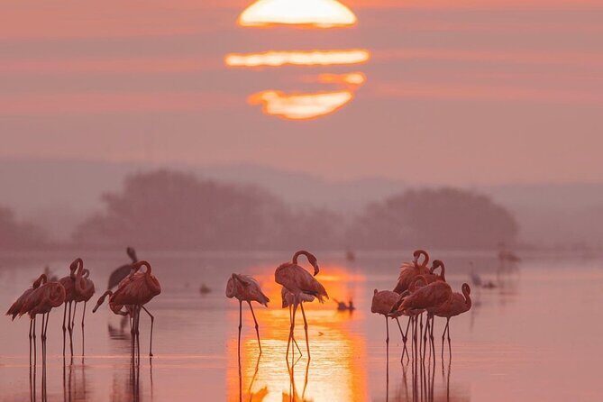 Romantic sunset tour in Río Lagartos, with food - Final Thoughts: Is It Worth It?