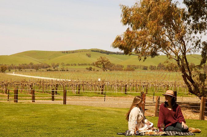 Romantic Vineyard Horse Riding and Picnic - The Sum Up: Who Will Love This Tour?