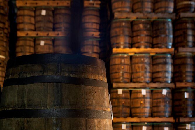 Ron Barcelo Anejo Experience Factory Tour - Authentic Experiences and What Travelers Say