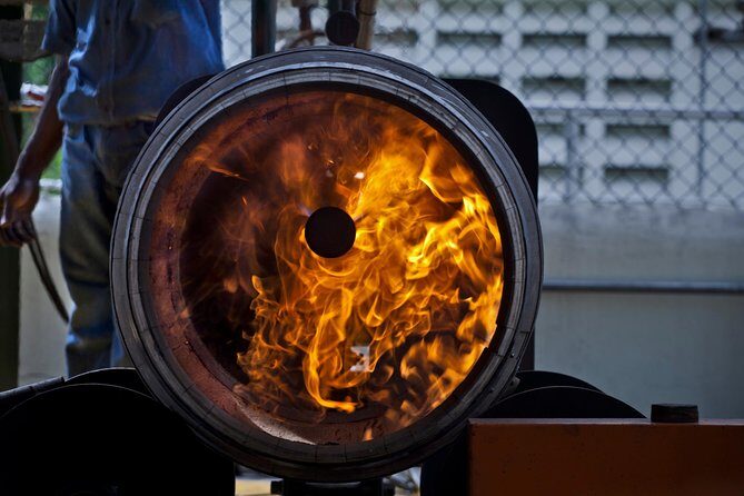 Ron Barcelo Anejo Experience Factory Tour - Who Should Consider This Tour?