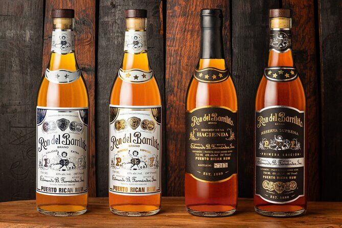 Ron del Barrilito Rum Tasting Skip-the-Line Tour - The Atmosphere and Group Experience