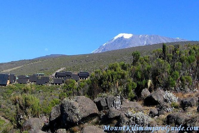 Rongai Route 6 Days 5 Nights/Kilimanjaro climb - What Does Success Look Like?
