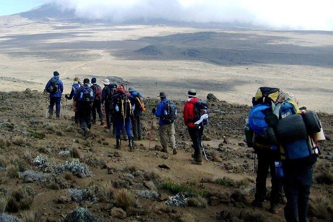 Rongai Route 6 Days 5 Nights/Kilimanjaro climb - FAQ