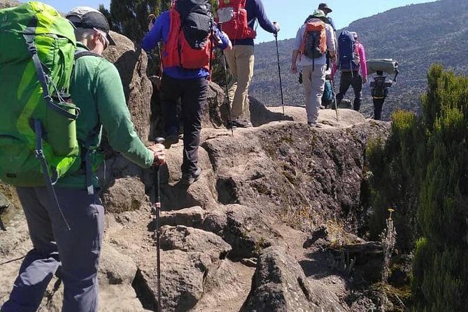 Rongai Route 7 Days - Who Should Consider This Tour?