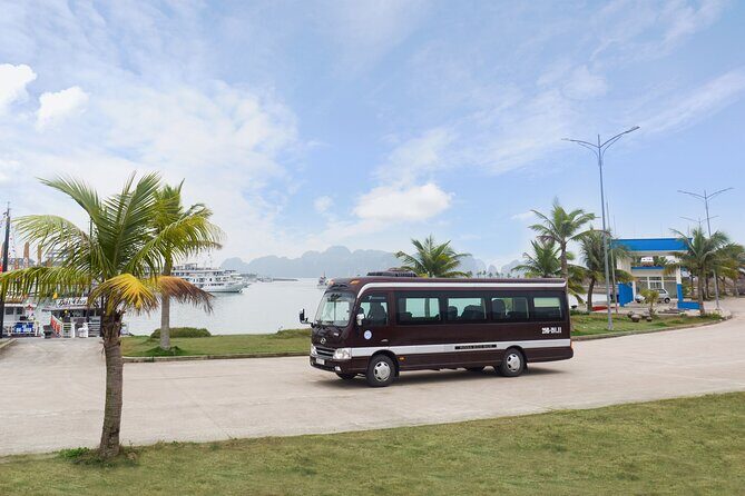 Rosa Eco Bus Luxury Transfer Ha Noi to Ha Long - Who Should Consider This Transfer?