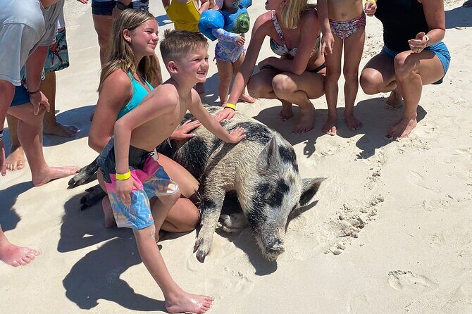 Rose Island 3 Island Luxury Private Tour(8hrs) - Key Points