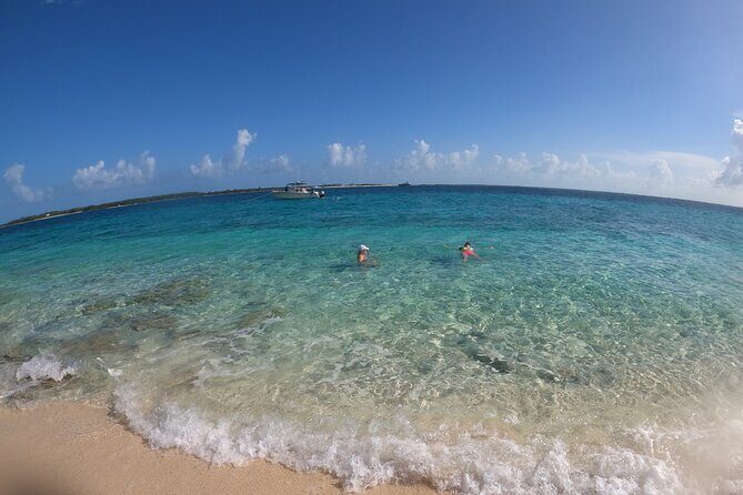 Rose Island Adventure: Turtle Swim and Snorkel - The Sum Up