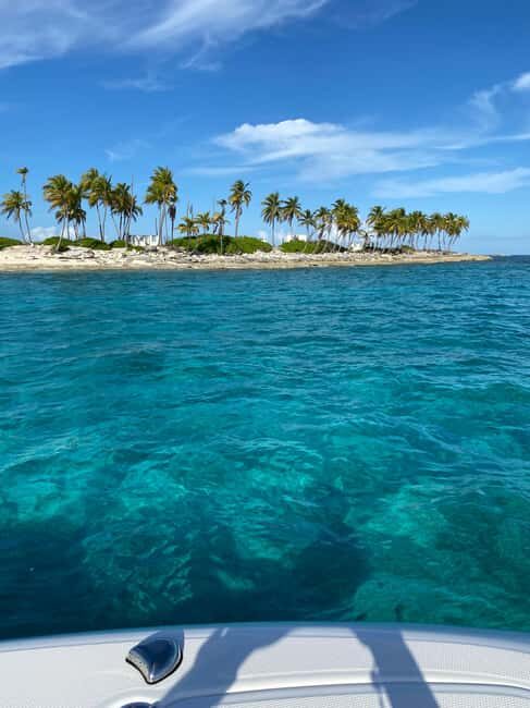 Rose Island: Pig Beach, Snorkeling, Sea Turtles, Beach - The Itinerary in Detail