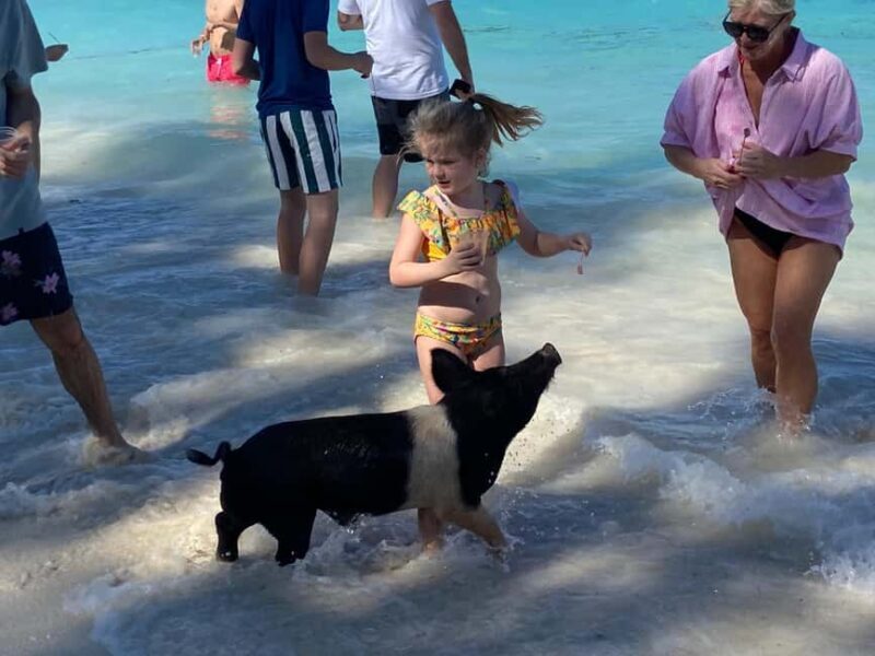 Rose Island: Pig Beach, Snorkeling, Sea Turtles, Beach - Snorkeling Over Vibrant Coral Reefs