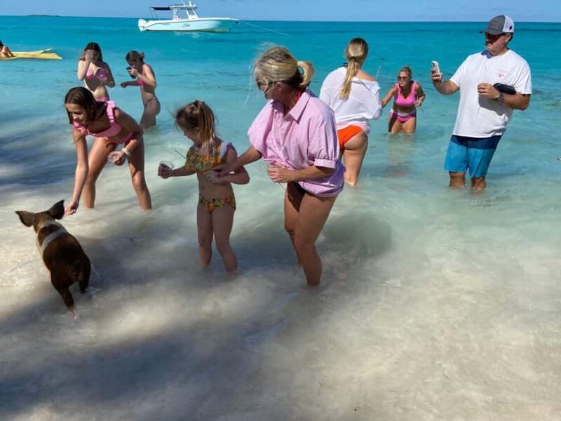 Rose Island: Pig Beach, Snorkeling, Sea Turtles, Beach - The Sea Turtles at Green Cay