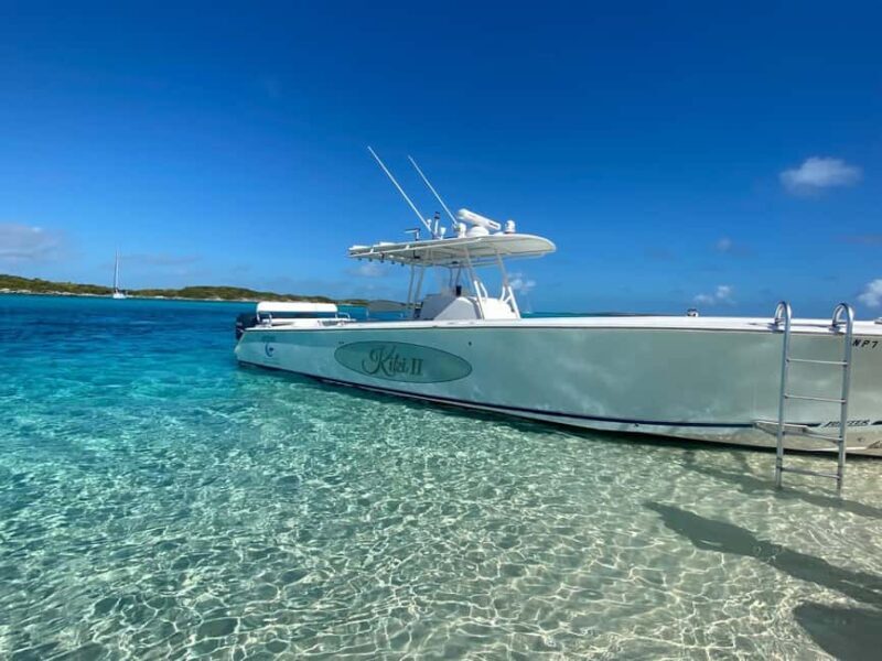 Rose Island: Pig Beach, Snorkeling, Sea Turtles, Beach - Overall Experience & Authenticity