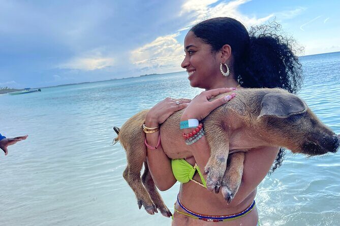 Rose Island Private Beach: Swimming with the Pigs - An In-Depth Look at the Tour Experience