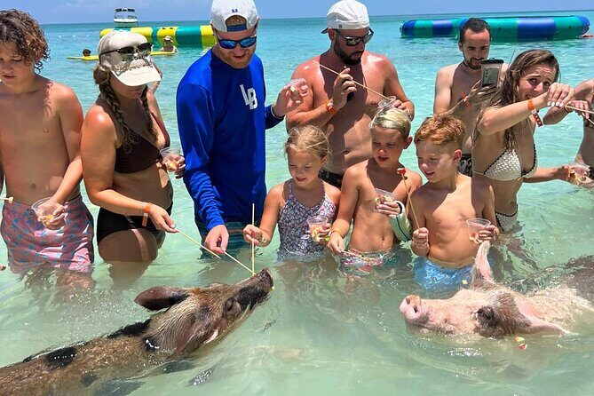 Rose Island Private Beach: Swimming with the Pigs - Who Is This Tour Best For?