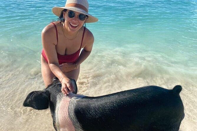 Rose Island Private Beach: Swimming with the Pigs - Practical Tips for Travelers