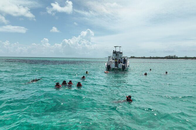 Rose Island Swimming Pigs & Beach Snorkeling Experience Nassau. - The Itinerary: What to Expect and What to Watch For