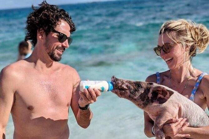 Rose Island Swimming Pigs & Beach Snorkeling Experience Nassau. - Why This Tour Could Be a Great Choice