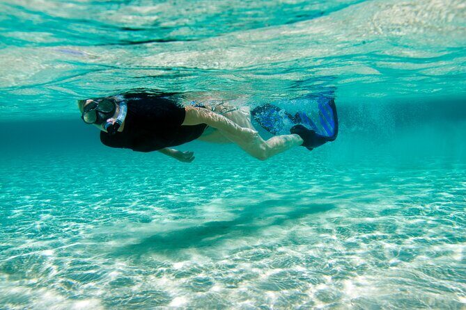 Rose Island Swimming Pigs & Beach Snorkeling Experience Nassau. - Who Is This Tour Best For?