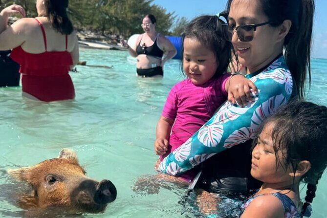 Rose Island Swimming Pigs & Beach Snorkeling Experience Nassau. - FAQs