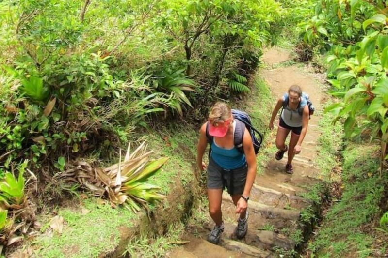 Roseau: Boiling Lake Challenge Hiking Tour with Local Guide - What Makes This Tour Stand Out?