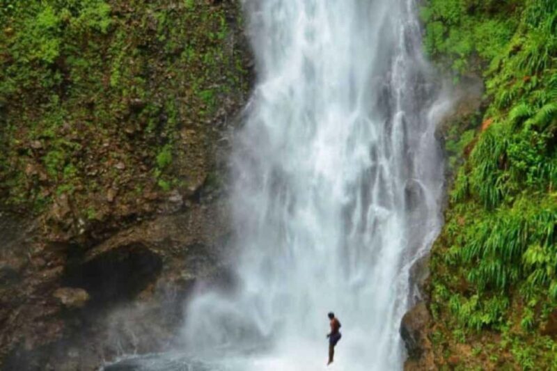 Roseau: Guided Day Trip to Popular Waterfalls - Key Points
