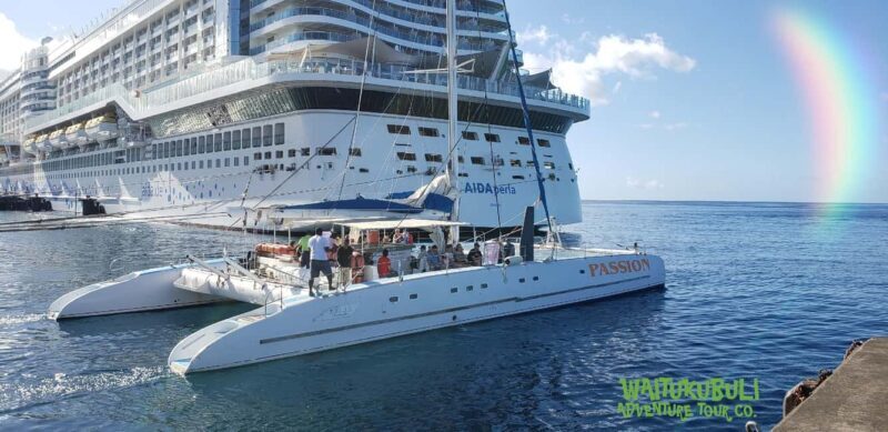 Roseau: Guided Dolphin and Whale Watching Tour With Drinks - Final Thoughts
