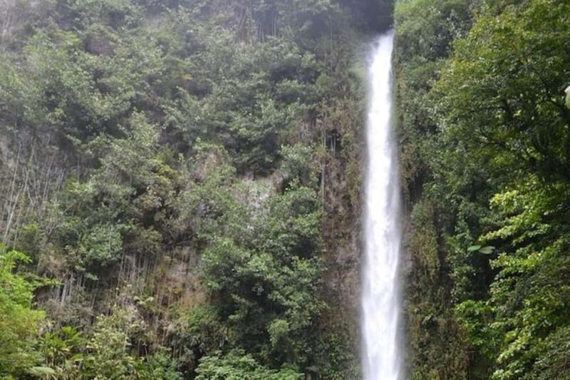 Roseau: Middleham Falls Hike & Titou Gorge Half-Day Trip - Exploring the Middleham Falls & Titou Gorge Half-Day Trip in Dominica