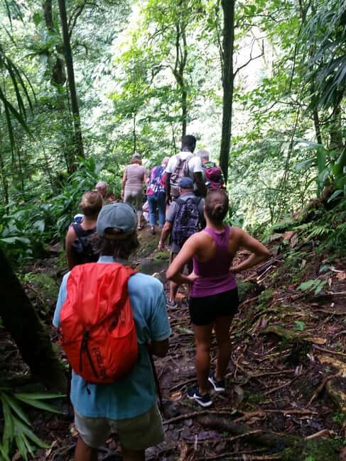 Roseau: Middleham Falls Hike & Titou Gorge Half-Day Trip - Final Thoughts