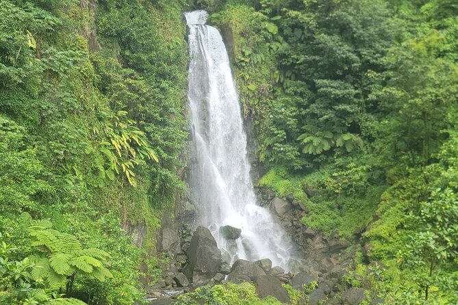 Roseau Rainforest Adventure to Waterfalls & water canyon swimming - FAQs