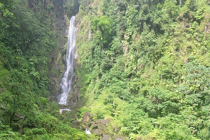 Roseau Rainforest Adventure to Waterfalls & water canyon swimming - Final Thoughts