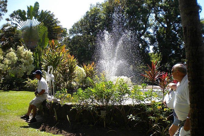 Rosevelt's Special Best of St. Kitts/Panoramic Tour - Who Should Book This Tour?