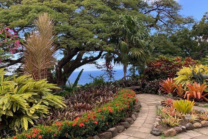 Rosevelt's Special Best of St. Kitts/Panoramic Tour - Frequently Asked Questions