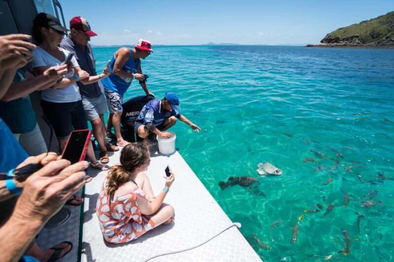 Rosslyn: Great Keppel Island Glass Bottom Boat Tour - Key Points