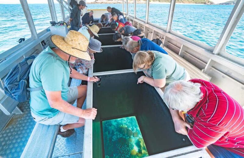 Rosslyn: Great Keppel Island Glass Bottom Boat Tour - Introducing the Great Keppel Island Glass Bottom Boat Experience