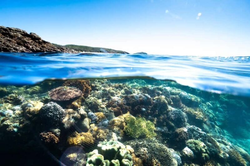Rosslyn: Great Keppel Island Glass Bottom Boat Tour - Authentic Experiences and Real-World Feedback