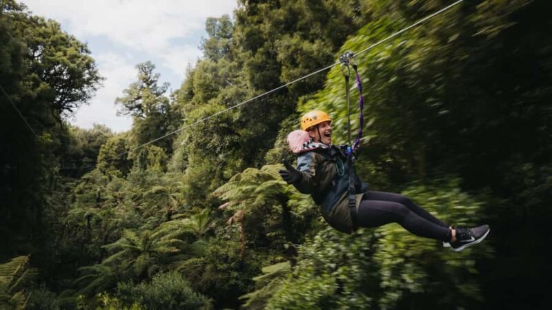 Rotorua: 6 Ziplines, Swing-Bridges & Wildlife Encounters - Key Points