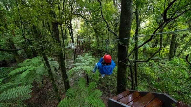Rotorua: 6 Ziplines, Swing-Bridges & Wildlife Encounters - The Sum Up