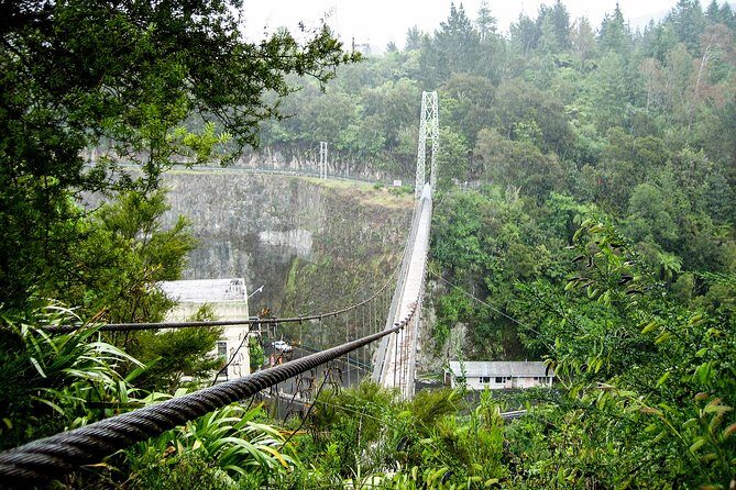Rotorua and Waitomo - An In-Depth Look at the Tour Experience