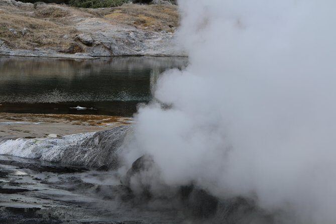 Rotorua and Waitomo Caves Day Trip from Auckland -Smaller Groups - The Sum Up
