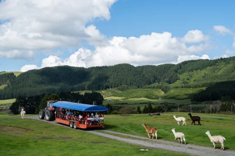 Rotorua: Authentic Kiwi Farm Experience at the Agrodome - Key Points