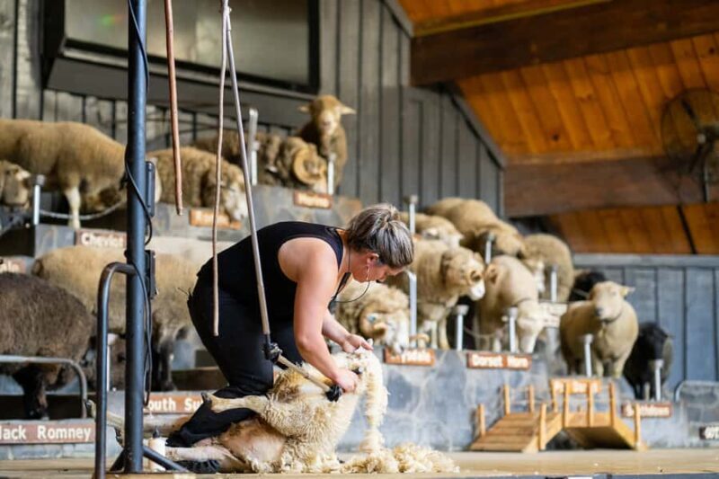 Rotorua: Authentic Kiwi Farm Experience at the Agrodome - Exploring the Agrodome Experience