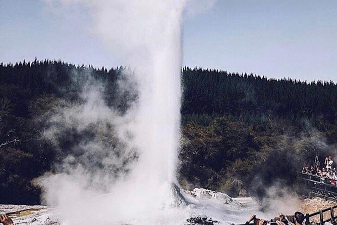 Rotorua based Small Group Morning Tour Waimangu and Wai O Tapu - Transportation and Group Size