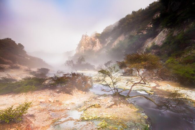 Rotorua based Small Group Morning Tour Waimangu and Wai O Tapu - Pricing and Value