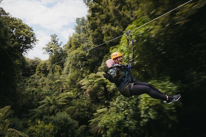 Rotorua Canopy Tours: 2.5Hour Native Forest Zipline Adventure - An In-Depth Look at the Experience