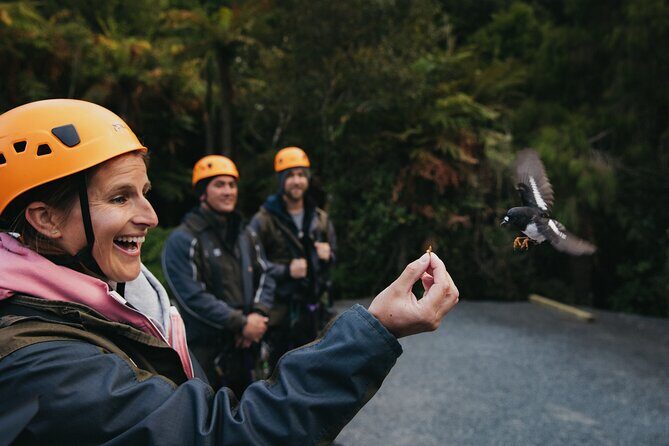 Rotorua Canopy Tours: 2.5Hour Native Forest Zipline Adventure - The Sum Up