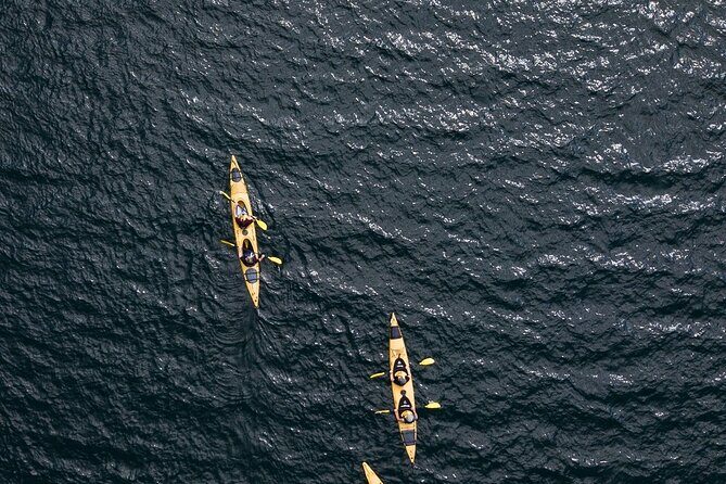 Rotorua: Daytime Scenic Lake Rotoiti Kayak Tour - Final Thoughts