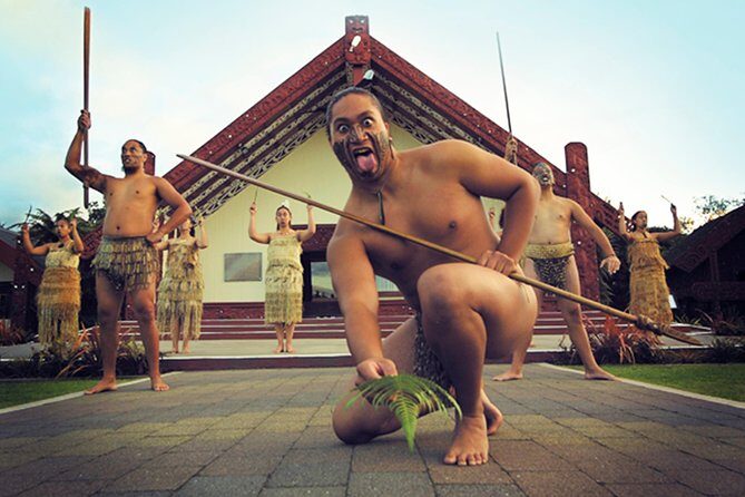 Rotorua Discovery Te Puia Tour - Key Points