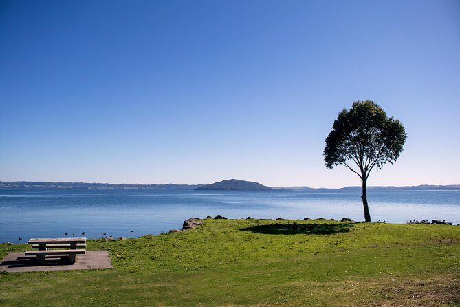 Rotorua Duck Boat Guided City and Lakes Tour - Final Thoughts