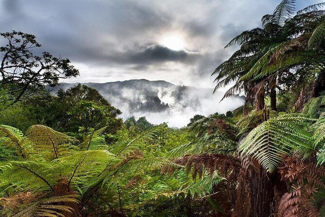 Rotorua Eco Cultural full day tour (Wai o Tapu, Waimangu,Te puia) - Who Will Love This Tour?